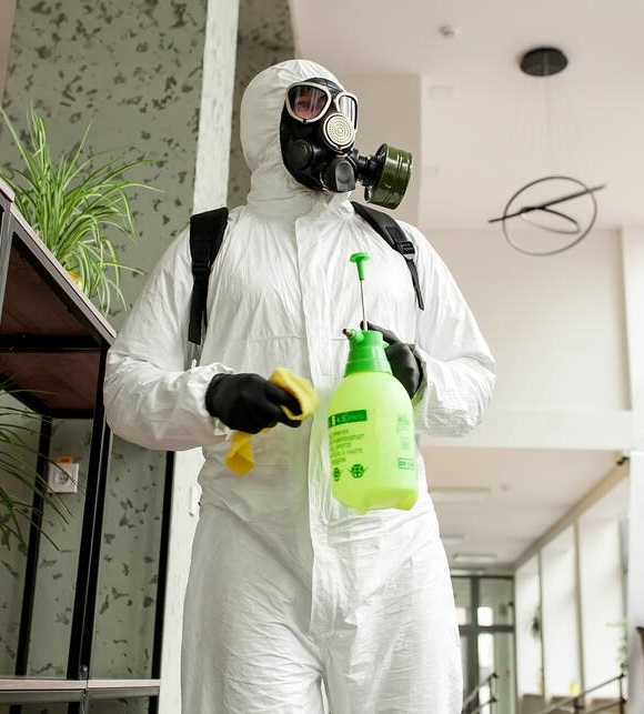 Pest Control Contractors UAE